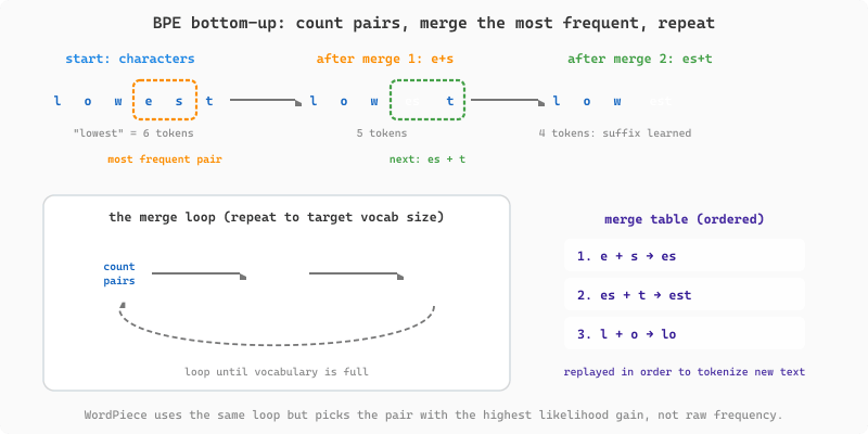 Byte Pair Encoding builds its vocabulary bottom-up. Words start split into individual characters. At each step the algorithm counts every adjacent symbol pair across the whole corpus, finds the single most frequent pair, and merges it into one new token, adding that merge to a merge table. After merging the most frequent pair e-s into es, then es-t into est, then l-o into lo, frequent suffixes and word fragments emerge as single tokens. The same merge table is later replayed to tokenize new text.