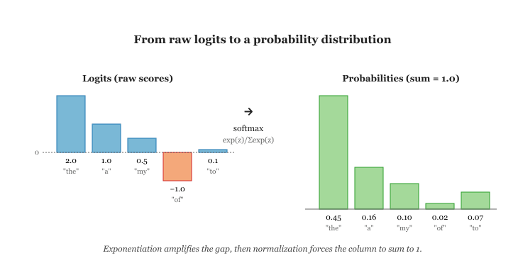 Logits to probabilities via softmax