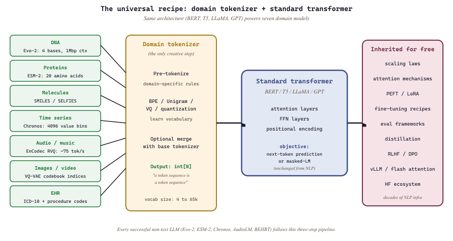 Universal recipe funnel: seven domains pipe through tokenizers into a shared transformer