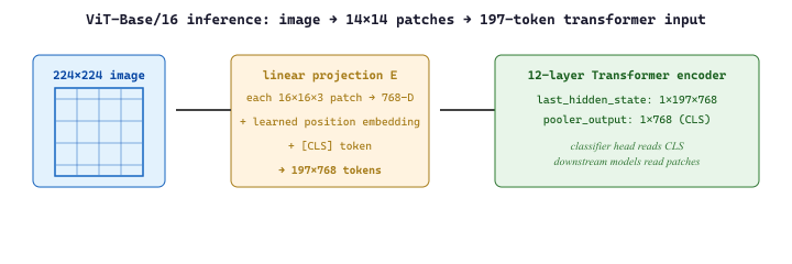 ViT-Base/16 inference: image → 14×14 patches → 197-token transformer input