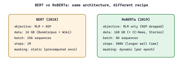 BERT vs RoBERTa: same architecture, different recipe