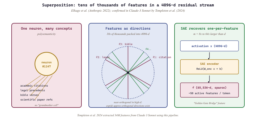 Superposition: more features than dimensions packed via near-orthogonal directions