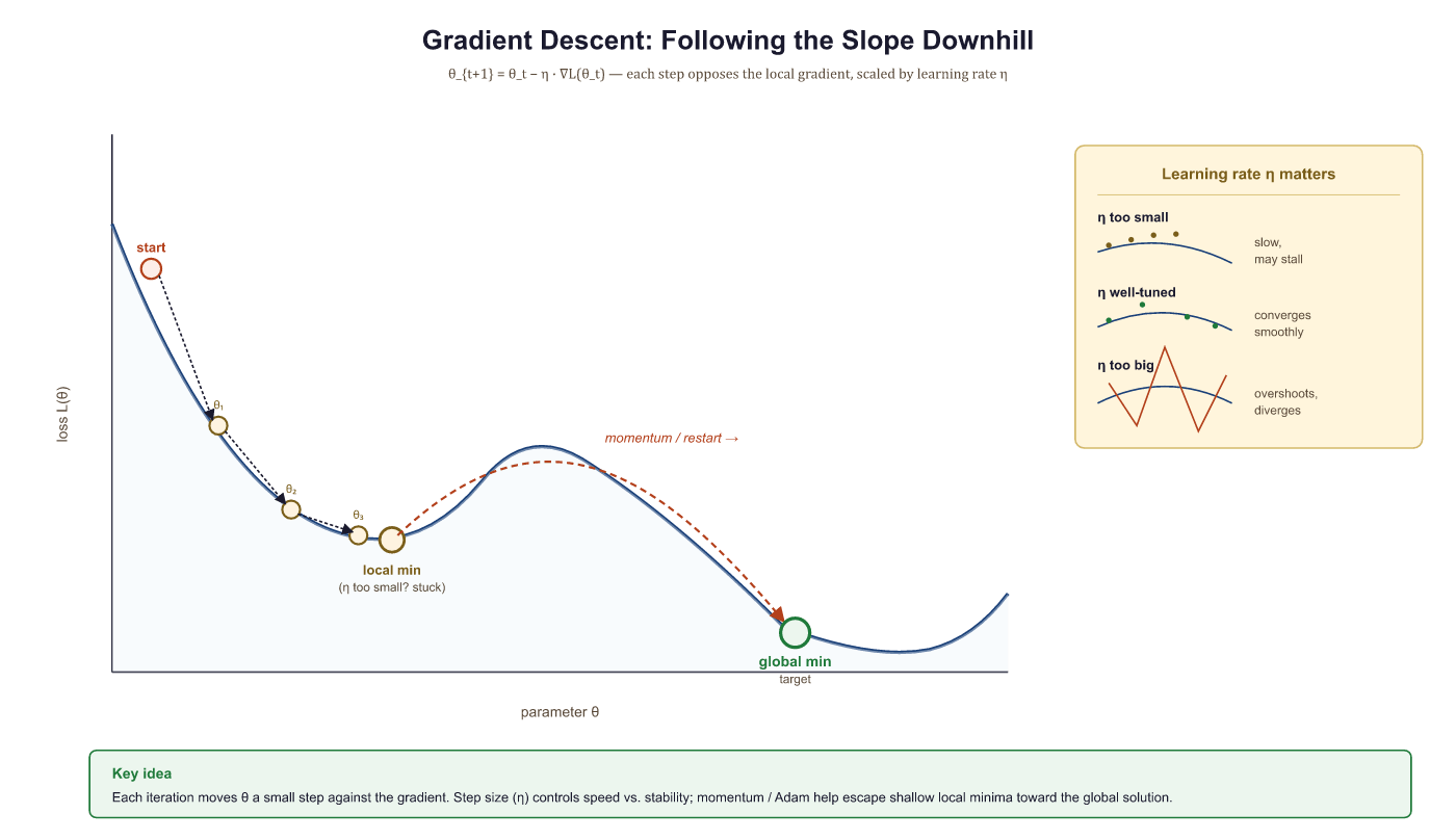Gradient descent follows the slope downhill, step by step. The ...