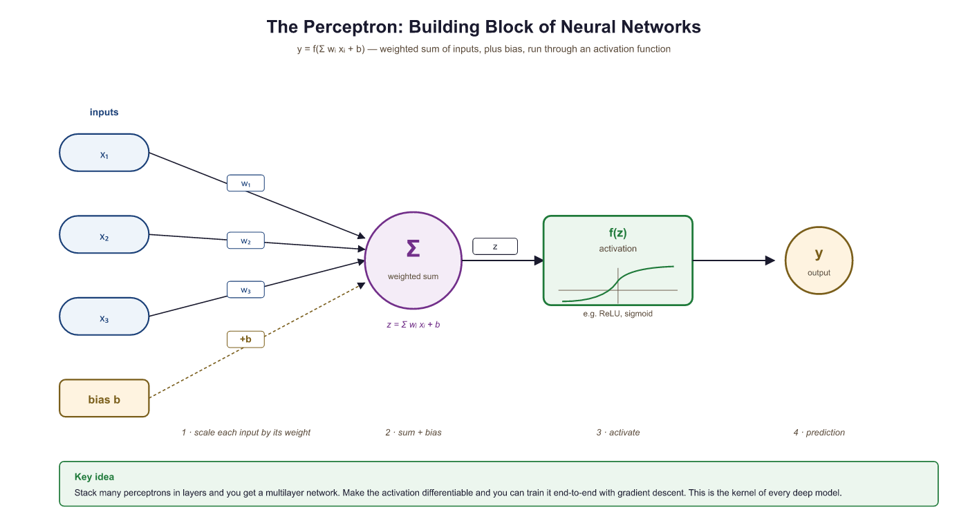 Anatomy of a single perceptron with inputs, weights, summation, activation, and output