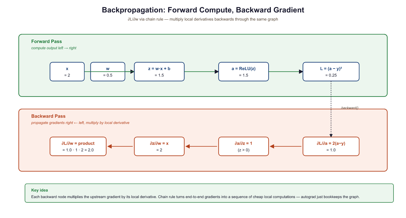 Backpropagation through a single neuron showing forward pass and gradient flow