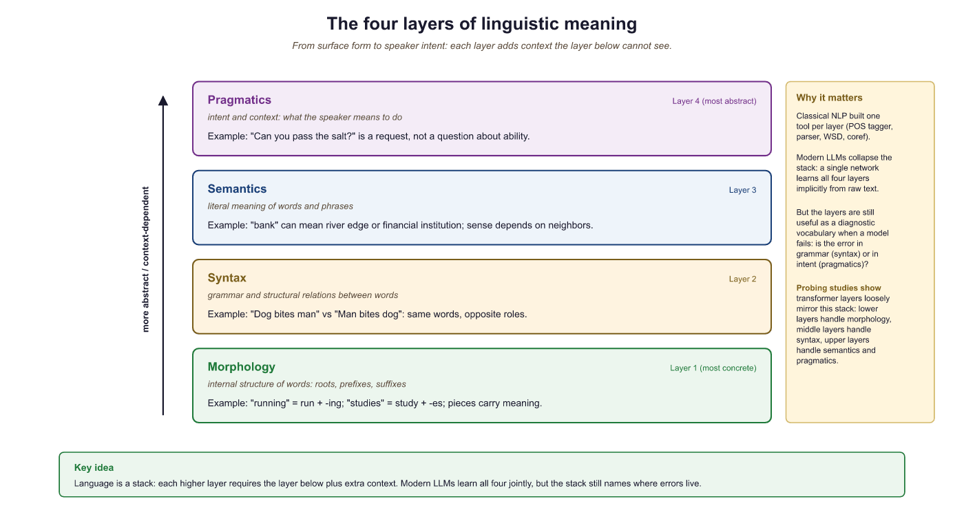 Nested layers of linguistic complexity: morphology, syntax, semantics, pragmatics