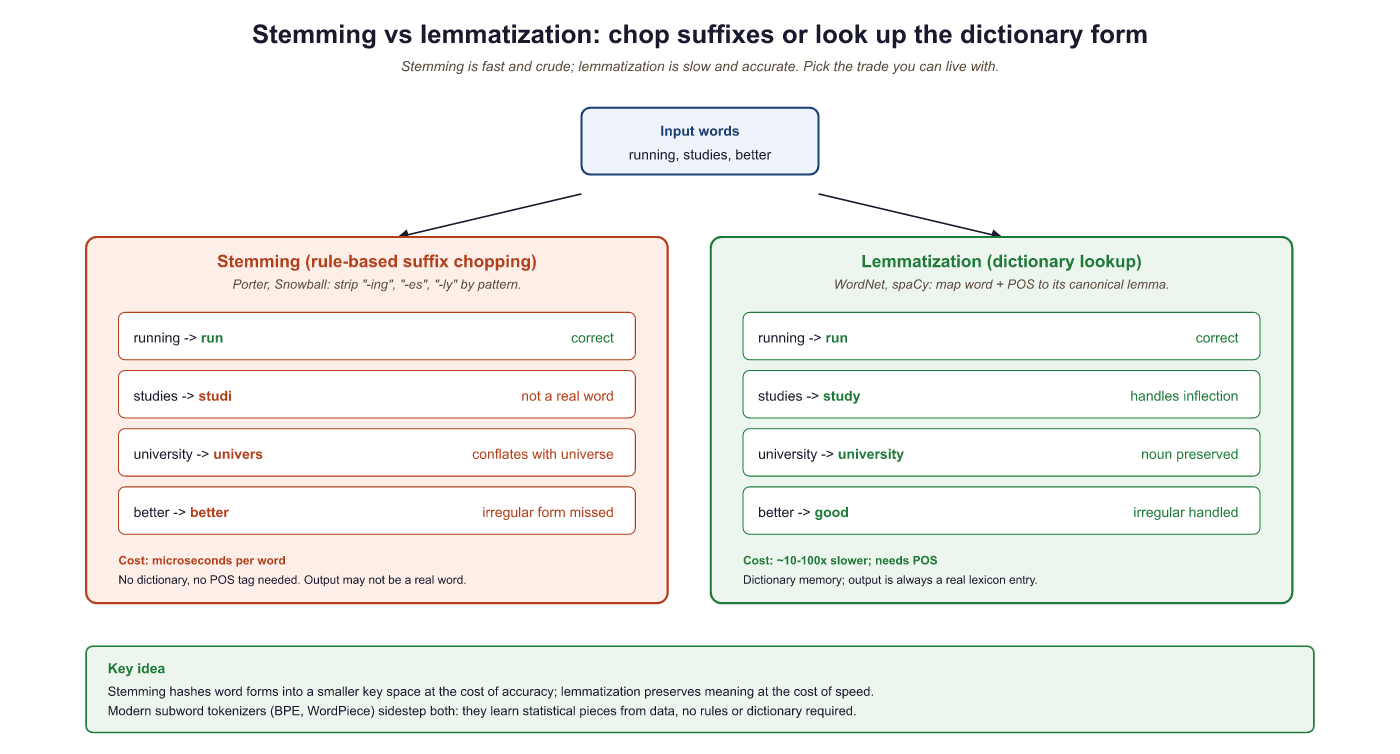 Stemming vs lemmatization: stemming chops suffixes, lemmatization finds true base forms