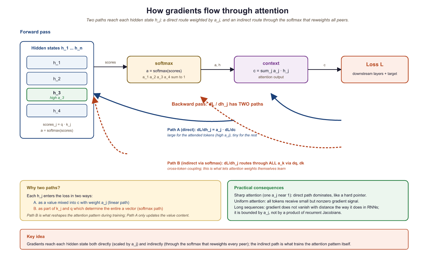 Gradient flow through attention: direct and indirect paths from loss to encoder hidden states