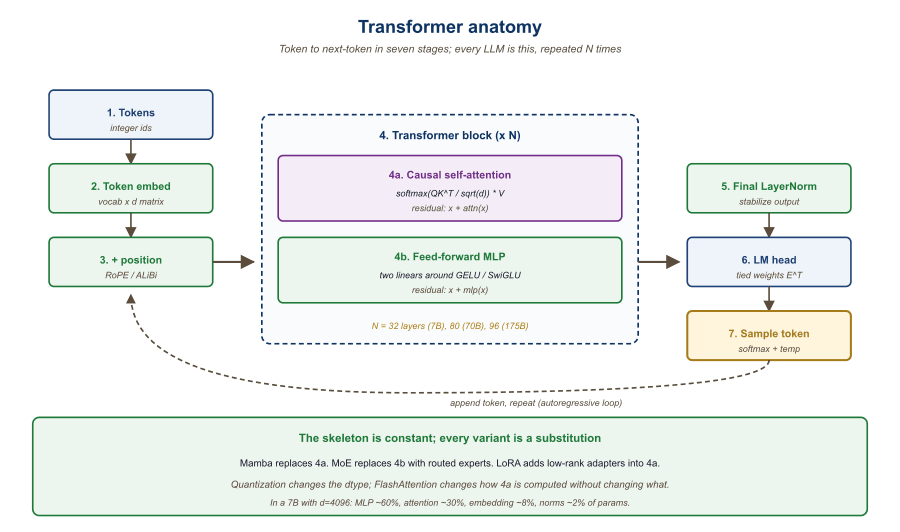 Transformer block anatomy. Input tokens flow into an embedding layer