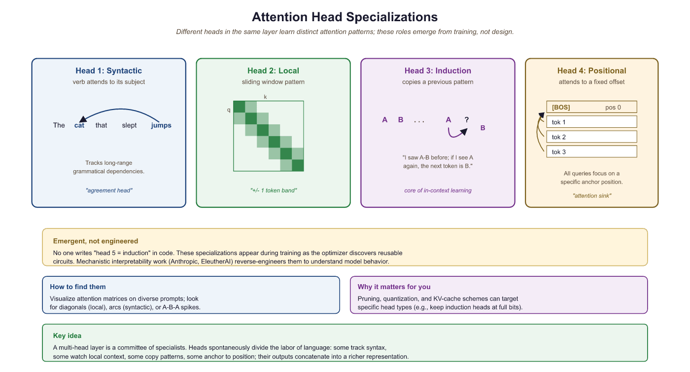 Four types of attention head behavior: syntactic, local, induction, positional