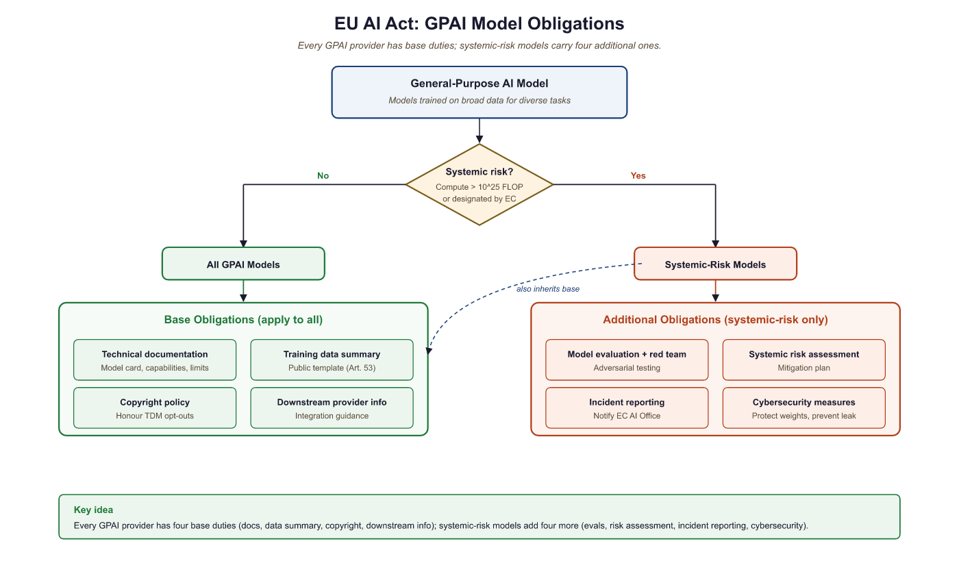 Decision flow for GPAI model obligations: all GPAI models must provide technical documentation, training data summaries, copyright policy.