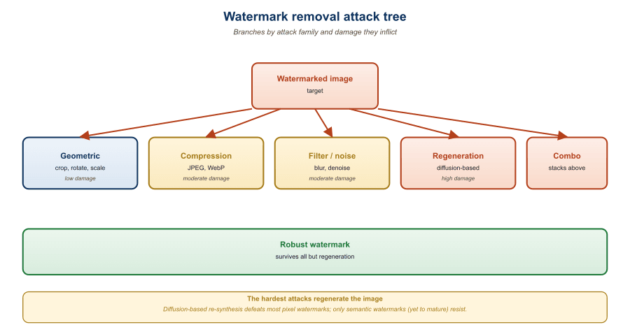Diagram showing a watermarked image being attacked. The original image with embedded SynthID watermark passes through three attack paths: (1) JPEG re-compression at q=40 (label: 'partial removal'); (2) Diffusion purification step (label: 'high removal, modest quality loss'); (3) Full regeneration via img2img at strength=0.3 (label: 'complete removal, slight composition change'). Each output is then run through the watermark detector. Detection success rates shown: original 99%, JPEG 75%, purification 18%, regeneration 4%. Side annotation: 'attack costs measured in seconds and cents; defense costs are sunk infrastructure'.