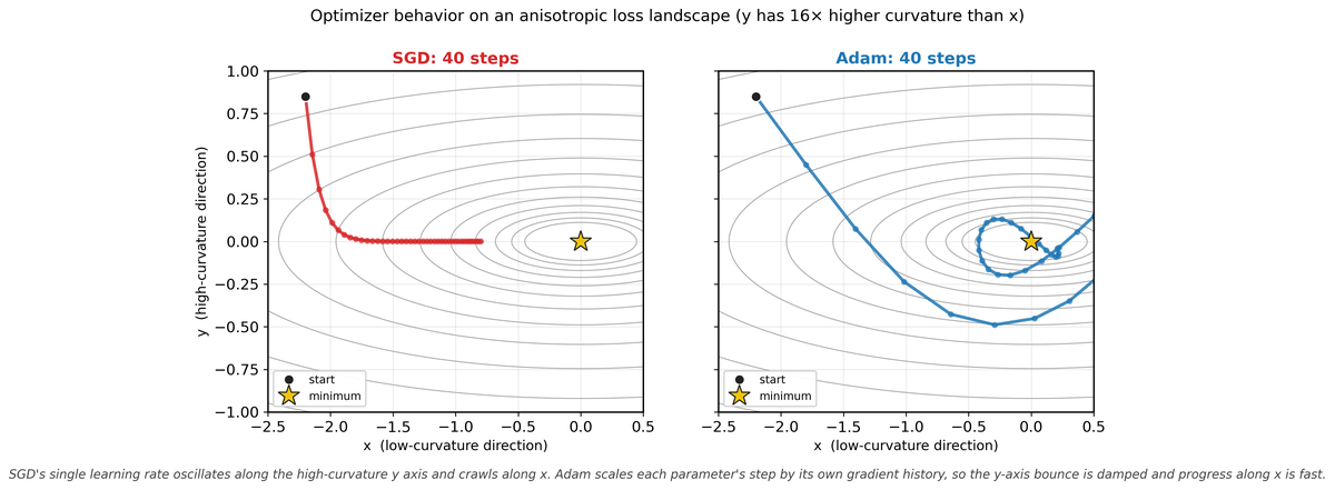 Two-panel loss landscape: SGD oscillates along the high-curvature axis of a narrow ravine while Adam, using per-parameter learning rate scaling, descends diagonally with minimal oscillation toward the minimum