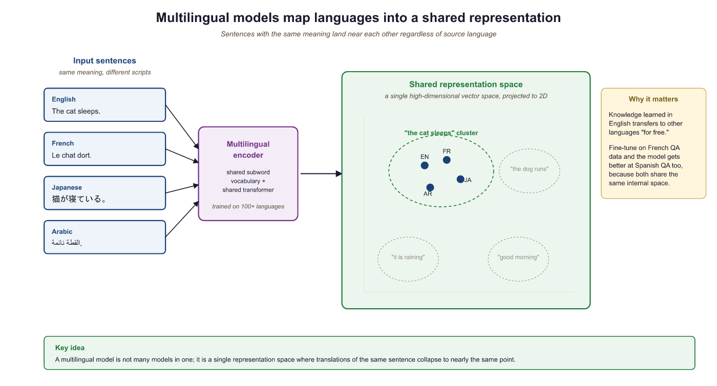 Multilingual models map different languages into a shared repre...