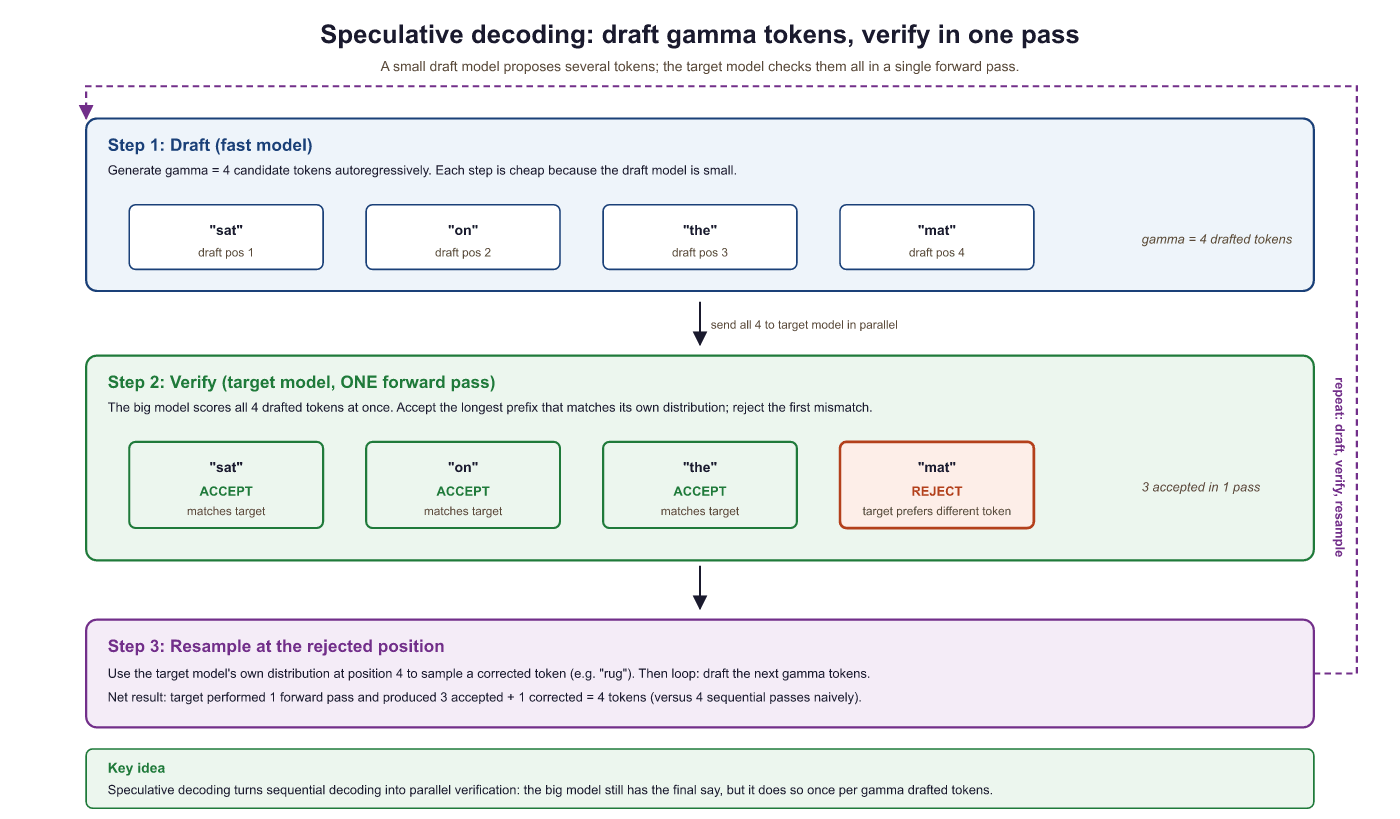 Speculative decoding drafts γ tokens with a fast model, t...