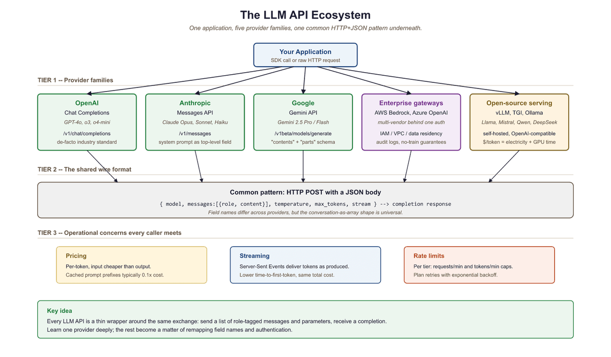 LLM API ecosystem: application connecting to OpenAI, Anthropic, Google, Enterprise, and Open Source providers via common HTTP POST JSON pattern