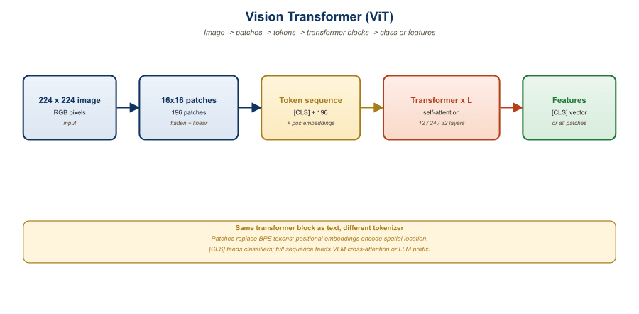 ViT architecture diagram: image to patches to flattened patches to linear projection plus position embeddings to transformer encoder